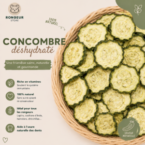 Concombre déshydraté