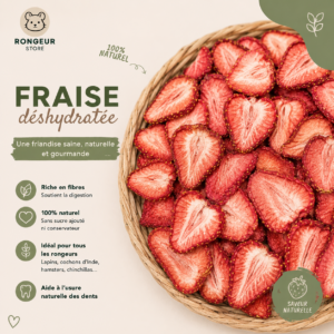 fraise déshydratée, friandise naturelle rongeur