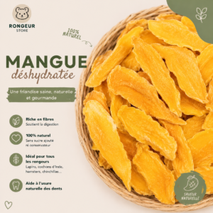 mangue déshydratée, fruit exotique naturel