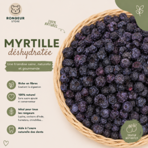 myrtille déshydratée, snack naturel
