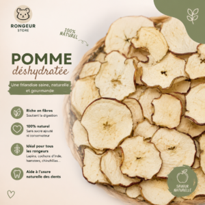 Pomme déshydratée
